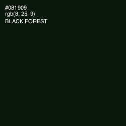 #081909 - Black Forest Color Image